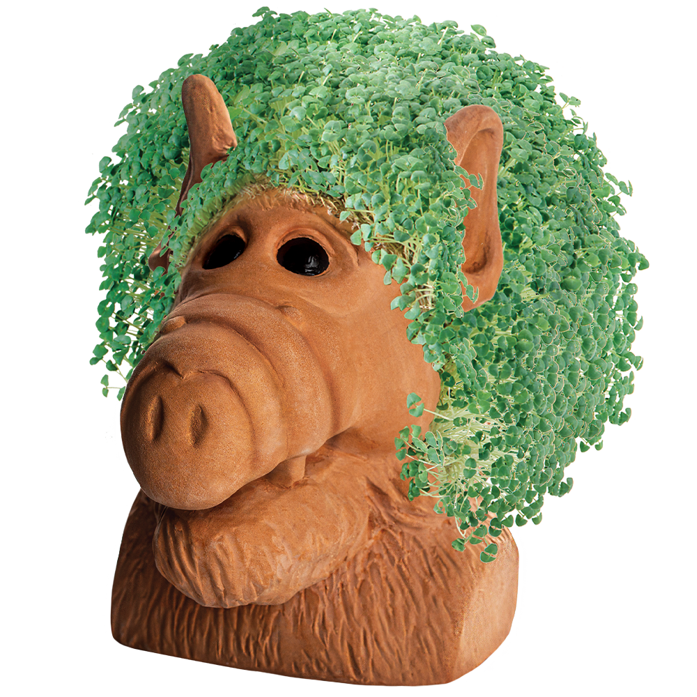 Alf Chia Pet