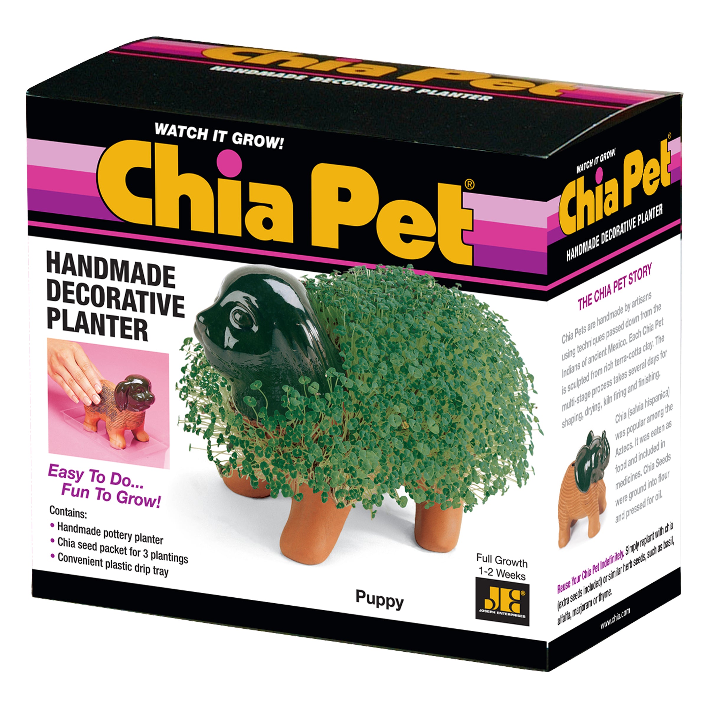 Original Puppy Chia Pet - Image 7