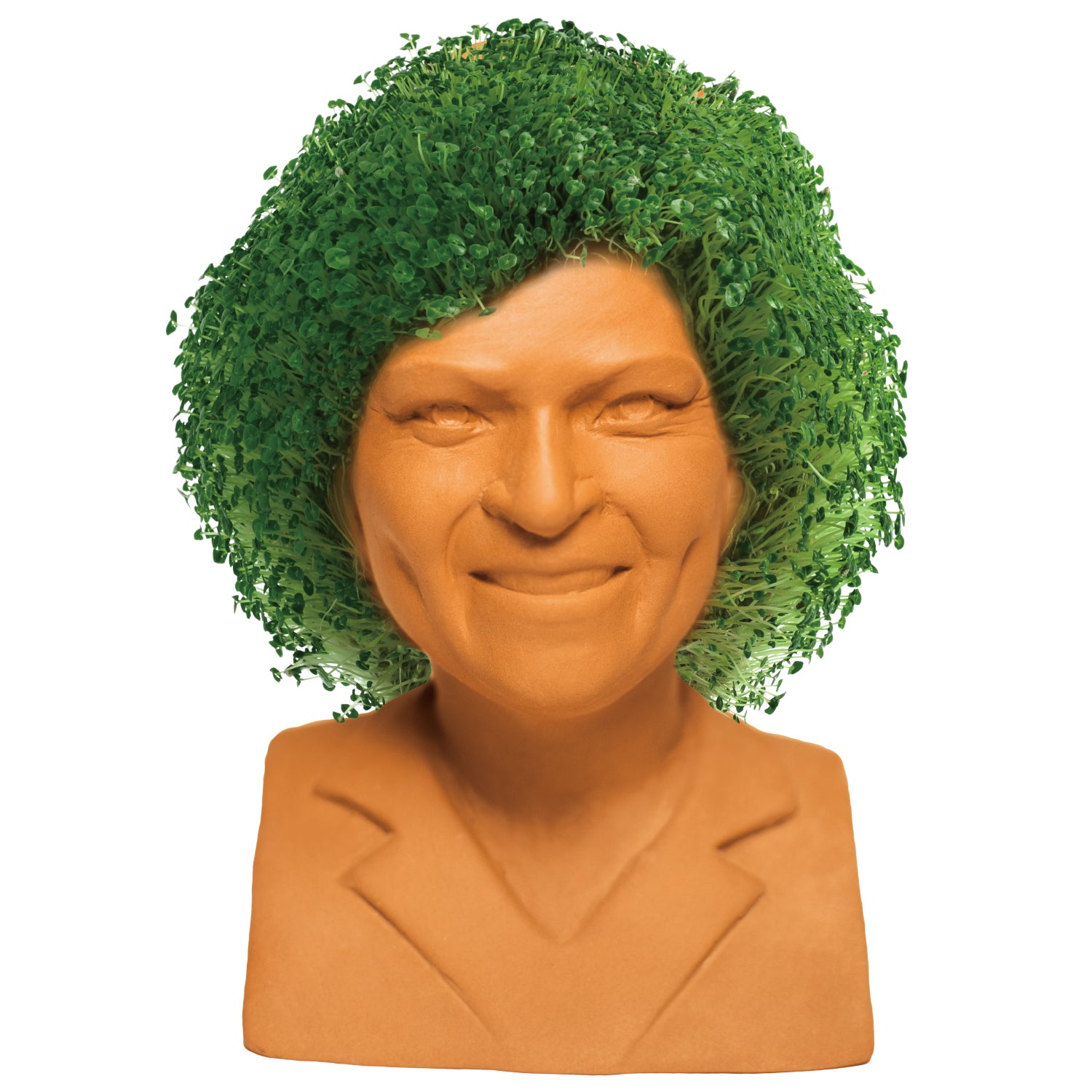 The Golden Girls Rose Chia Pet - Image 4