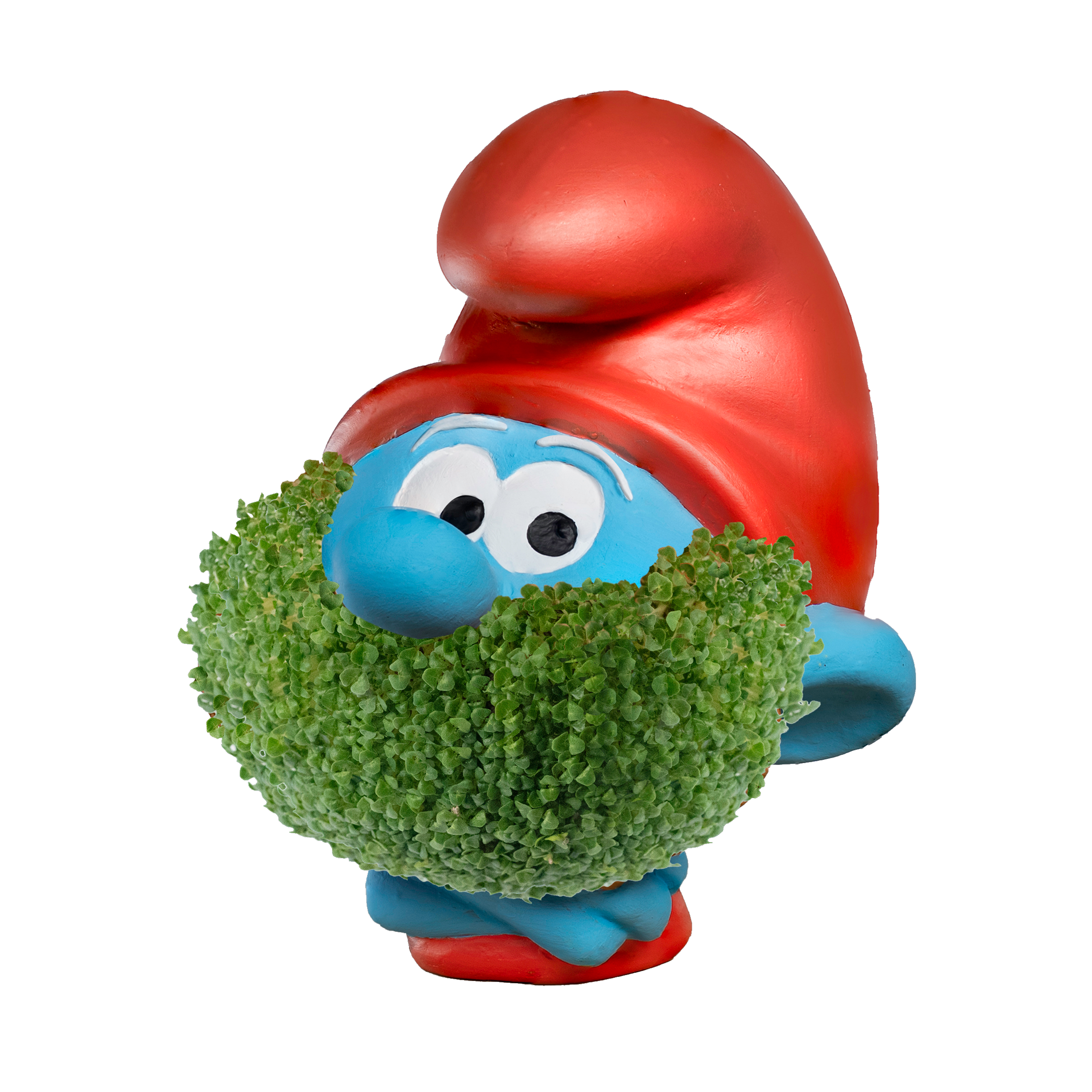 Papa Smurf Chia Pet