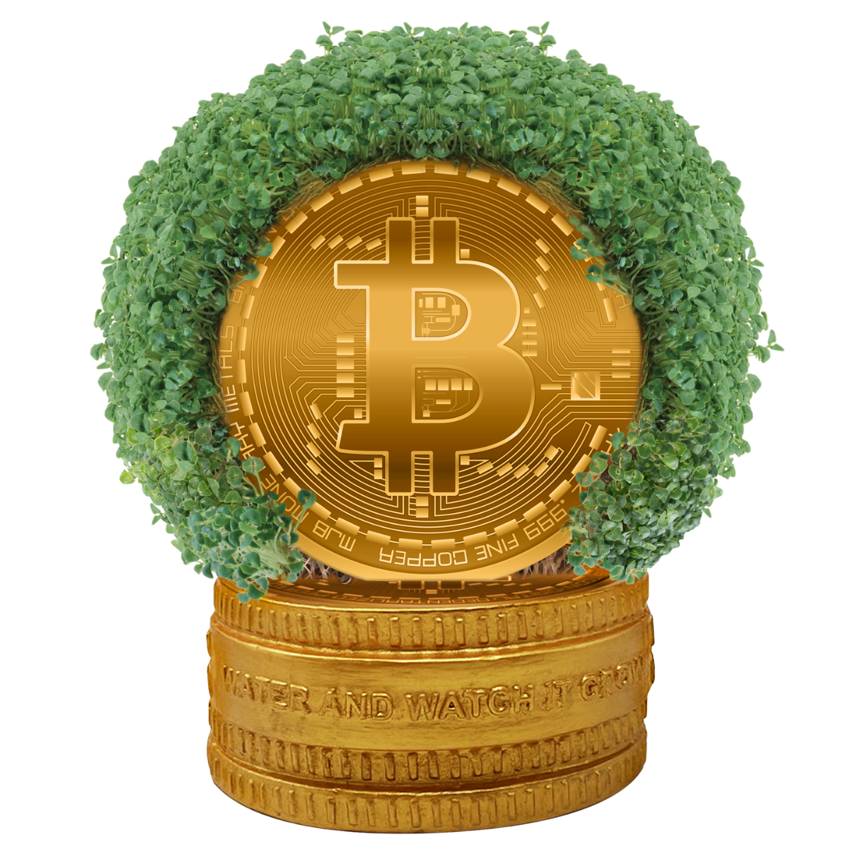 Bitcoin Chia Pet