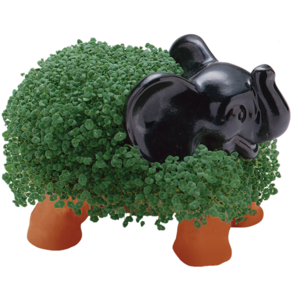 Alternative view of Classic Elephant Chia Pet