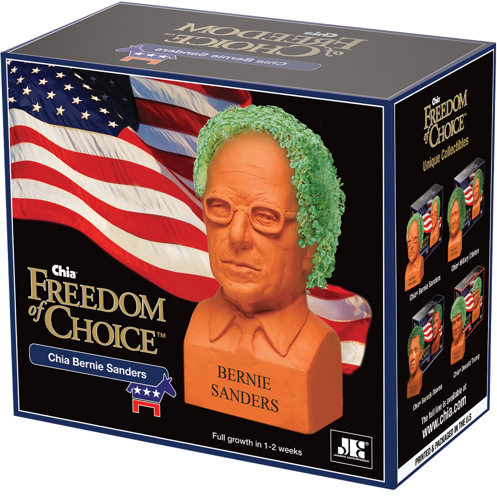 Bernie Sanders Chia Pet - Image 6