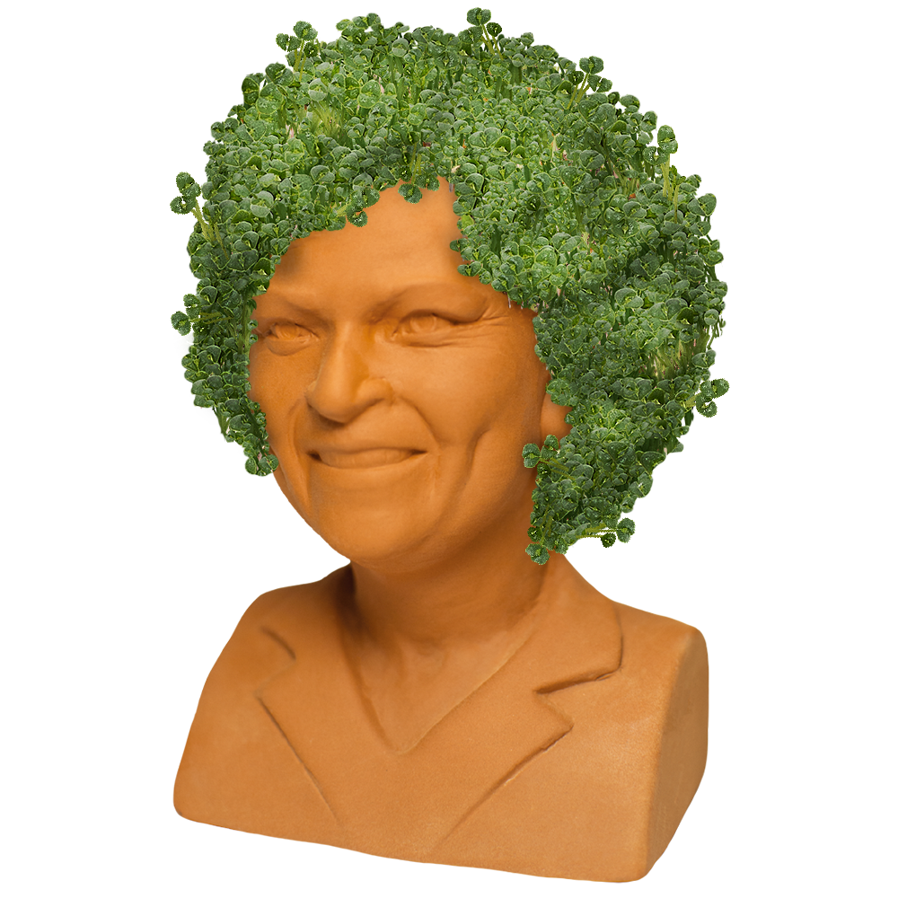 The Golden Girls Rose Chia Pet