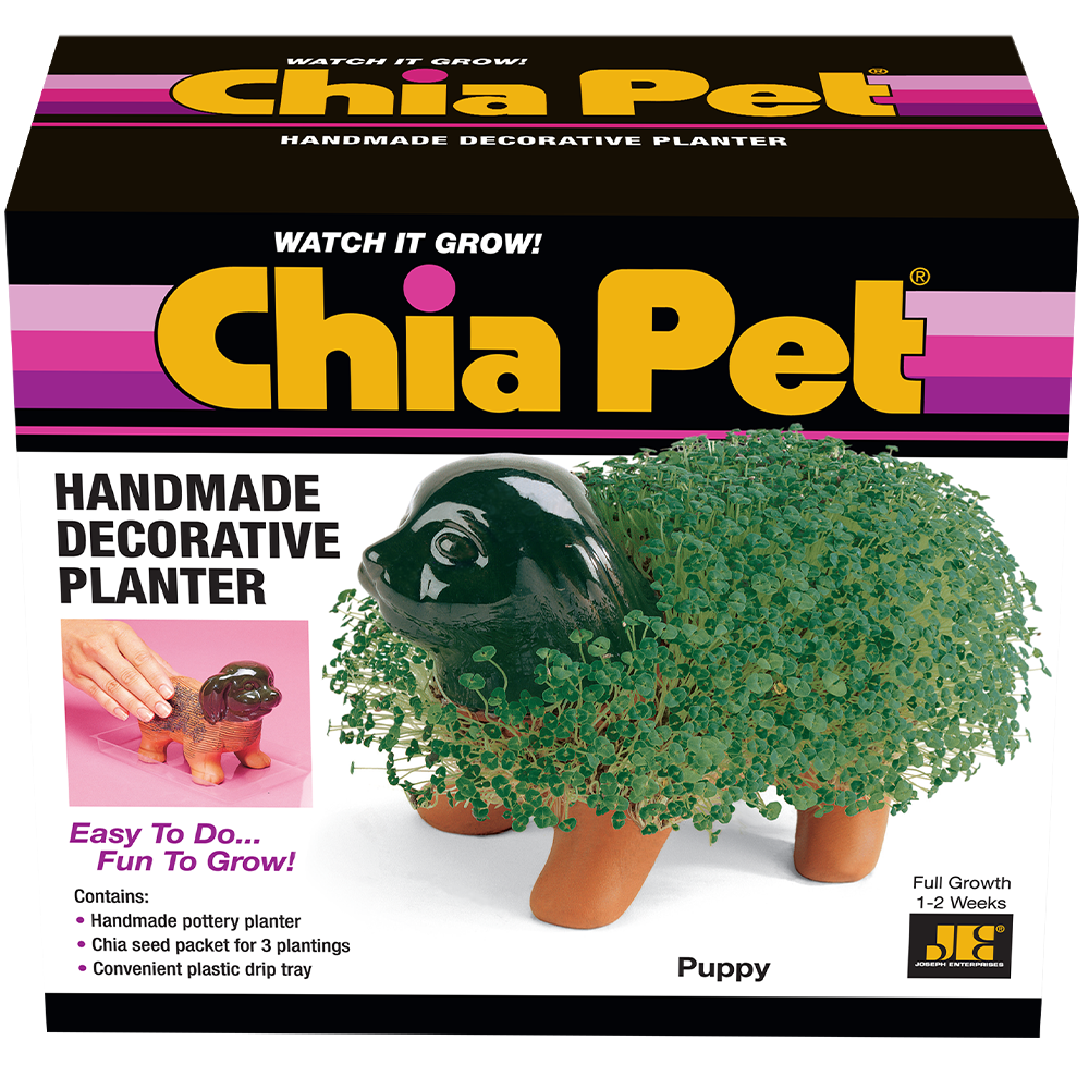 Original Puppy Chia Pet - Image 6
